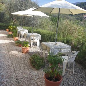 Agriturismo La Collina Verde