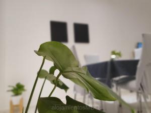 Casa Bruna, Divina y recién Renovada en Mar del Plata proximo Mogotes, a las playas del sur y El Faro - Somos AlojamientosMDQ -