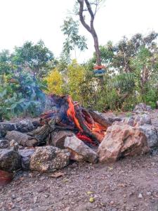 Residência Sol e Lar