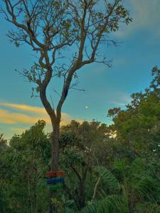 Residência Sol e Lar