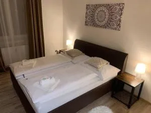 Přízemí v parku. (Apartment no.8) - Přímětice