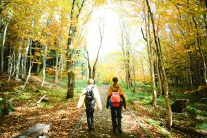 Hotel Yutoria Fujisato