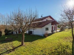 Villas Maison de caractere a Briscous: 4 chambres, jardin, proche Bayonne et plages, ideal famille et randonnees - FR-1-3-603 : photos des chambres