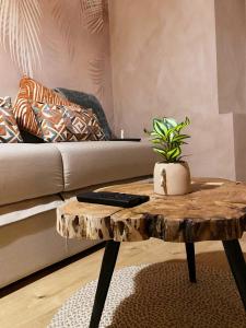 Charmant T1 hypercentre Nantes