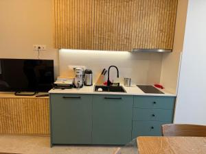 Cozy one bedroom apartment in New Gudauri