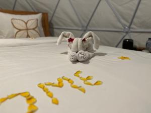 Glamping @ Pebbles & Fins