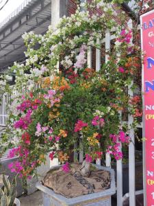 Nhà Nghỉ Vườn Oải Hương LAVENDER GARDEN GUEST HOUSE