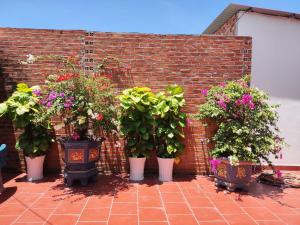 Nhà Nghỉ Vườn Oải Hương LAVENDER GARDEN GUEST HOUSE