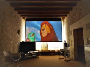 Maisons d'hotes Gite Atypique 2 a 8 PERSONNES avec piscine jacuzzi proche chateaux de la Loire : photos des chambres