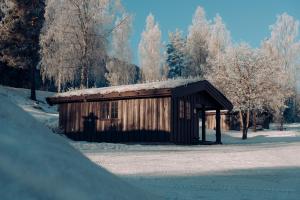 Cottage (4 Adults) room in Hunderfossen Cottages