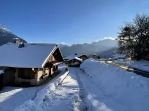 SmartStay - Chalet face au mont Blanc - Domancy