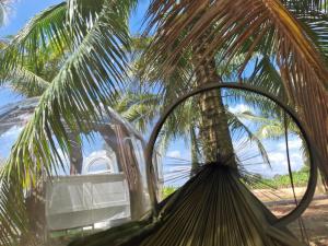The Coco Journey - Eco Dome