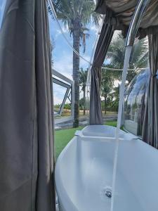 The Coco Journey - Eco Dome