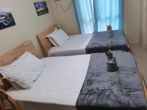 Avida Riala T2 2508CEBU ITPARK