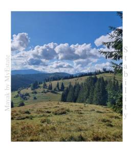 Aparthotel "Mayak Yablunytsia"