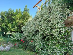 RELAXING Apartments LUCE