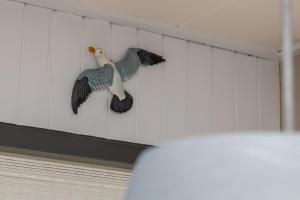 Welcome in - Appartement aan de voet van de duinen, met balkon, huisdiervriendelijk