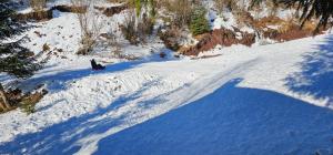 Cabana din Vale Arieseni Apuseni