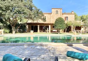 Pine tree Finca Espiga