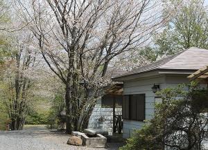 Eagle nest campsite - Vacation STAY 85295v