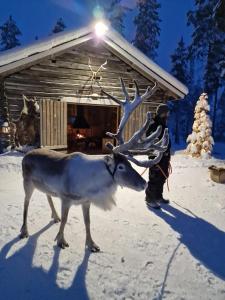 Reindeer Lake Resort