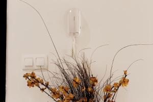 Élégance et confort à Cheraga