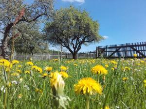 Pension Am Vogelherd