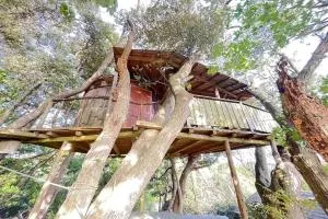 Private Garden Otaki - Vacation STAY 42041v - Ōtaki