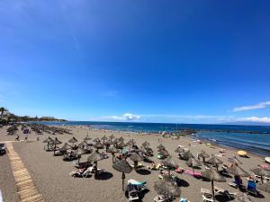 Torres de Yomely - M1C