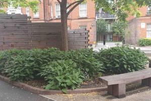 Central 1 BR Apartment *Zone 1* Elephant and Castle