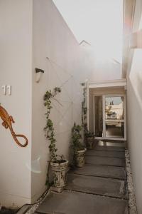 Gecko Lodge