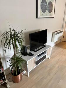 Historic Unique Castle Apartment in Central Perth