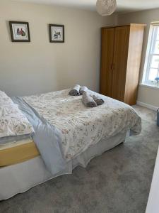 Historic Unique Castle Apartment in Central Perth