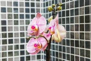 La Cabane du Huga N°3