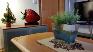 Deluxe Trsje Apartments