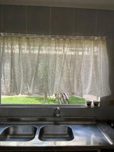 Ambiente acolhedor com jardim para pets