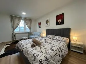 Kaštanová 27 - Hlušovice