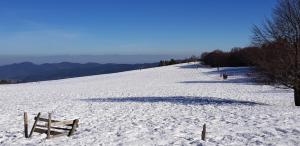 Chalets Chalet Mauselaine : photos des chambres