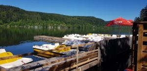 Chalets Chalet Mauselaine : photos des chambres