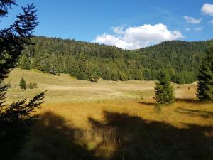 Chalets Chalet Mauselaine : photos des chambres