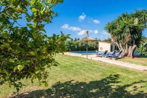 Cas Sollerich Magdelena