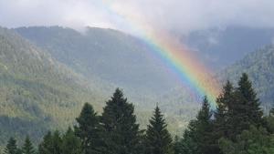 Chalets Chalet Biazot : photos des chambres