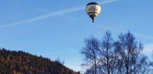 Chalets Chalet Biazot : photos des chambres