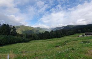 Chalets Chalet Biazot : photos des chambres