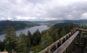 Chalets Chalet Biazot : photos des chambres