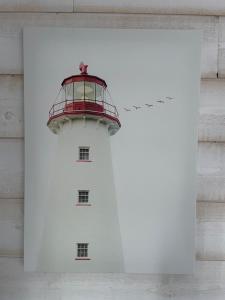 B&B / Chambres d'hotes La Maison Bizienne Guerande - Chambres d'hotes de charme : Chambre Double - Vue sur Jardin