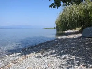 BATO Rooms - Pechtani