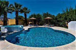 XENOS VILLA 2 with a private pool,near the sea