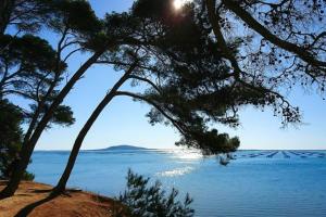 Sète: Magnifique appartement 8 couchages