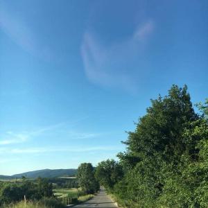Luksuzni Apartmani Mitić-Lavanda